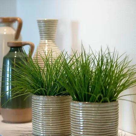 奥斯卡酒店 酒店